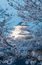 AG百家乐下载链接-体验AG百家乐的便捷下载之旅