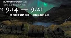 世界杯32强埃及-埃及，沙漠之狮的绿茵征途