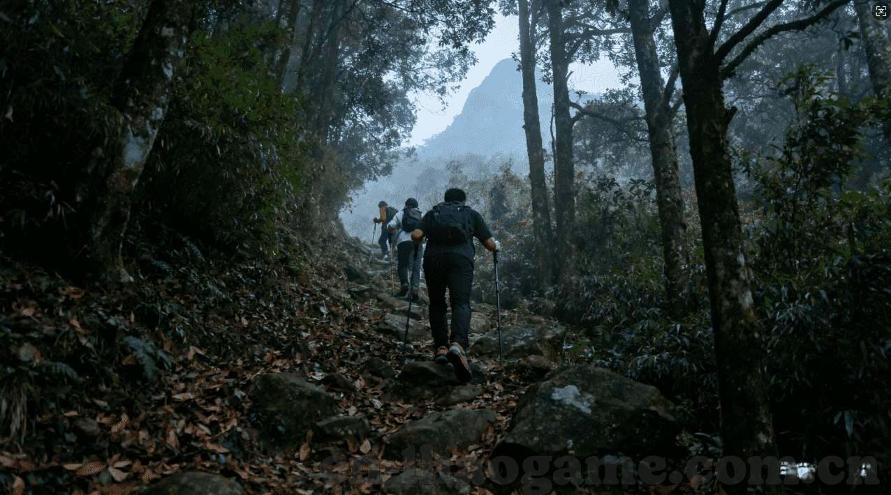 天天娱乐彩票 -用户注册-天天娱乐彩票，新用户注册指南及体验分享